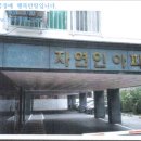 면목동-139 네이버블로그