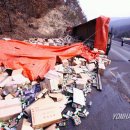 간척2리 이미지