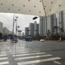 빠삐케이크 | [운정 카페 / 빠삐케이크] 운정 쿠키 맛집 빠삐케이크 후기🎂