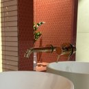 다올동물병원 | 대구 타일 시공, 대실 리슈빌 욕실 리모델링 공사