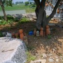 한초농장 이미지