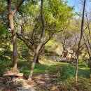 웅교농장 이미지