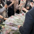 월플레르