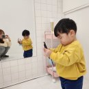 퐁퐁달리아 이미지