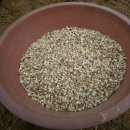 안터사슴농장 이미지