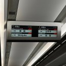 언더커버 빌리어네어 | 일본 도쿄 여행 겸 쇼핑[시부야] : 후기 / 코스 팁