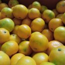 약천농장 이미지