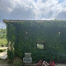 백만장모텔 이미지