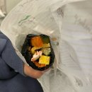 서리서리오송바이오점
