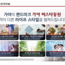 랜드비스타