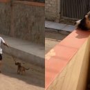 보고 이미지