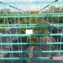 복덕농장 이미지