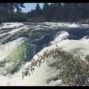 등나무 운동장 이미지