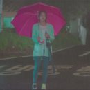꿈을드림