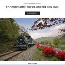 앞산요양병원 | &lt;여행 with 세모녀&gt; 친정 엄마와 남원 광한루 &amp; 섬진강기차마을 장미축제