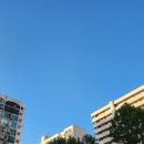 파란부동산중개 이미지