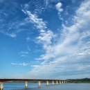 황골장미마을 이미지