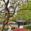 소설 토지의 날 기념 공연 | 강릉 가볼만한곳 허균 허난설헌 기념공원 기념관 문화해설 후기