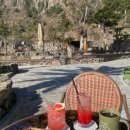 제주손칼국수냉면전문점 이미지