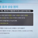 주식회사 피에트
