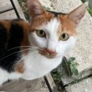 은지농장 이미지