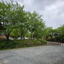 동일식육식당 이미지