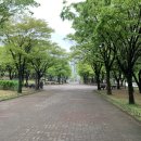 한뫼공원 이미지