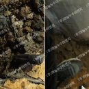 대곡길 이미지