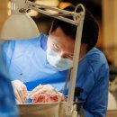 대우치과의원 이미지