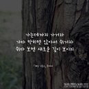 오늘도;꽃모닝