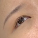 메종드부티크 속눈썹 | 눈매에 맞게 디자인하는 신사역 속눈썹펌 메종드리뉴 무쌍 후기