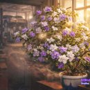 24시 카센터 이미지