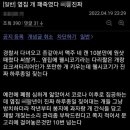 옆집강아지 이미지