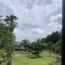 타이스토리 이미지