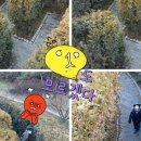 신정호수공원-5 이미지