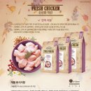 아이러브 캣 이미지