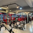 더라인 휘트니스 이미지