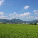 늘푸르름농장 이미지