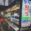 마이둥지 이미지