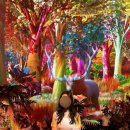 노벨라 별넷 | 영종도 인스파이어 르스페이스 _미디어아트 전시 솔직후기 주차 할인 관람꿀팁 인천 데이트추천