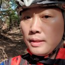 쌍용자동차일산서비스프라자 이미지