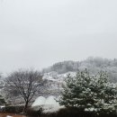 민영젓갈상회 이미지