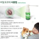 이화메디케어 이미지