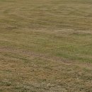 봉개의원 | 위가쓰릴때와 위가아플때 매스틱검 섭취 후 추천 안하는 이유[ft. 경험담]제목없음