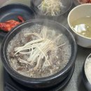 물고기야놀자
