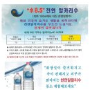 알카리수