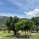 송호목장 이미지