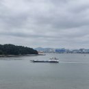 고래해물칼국수 네이버블로그