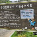 황금산 유아숲체험원 이미지