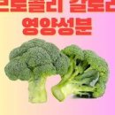 브로콜리 이미지